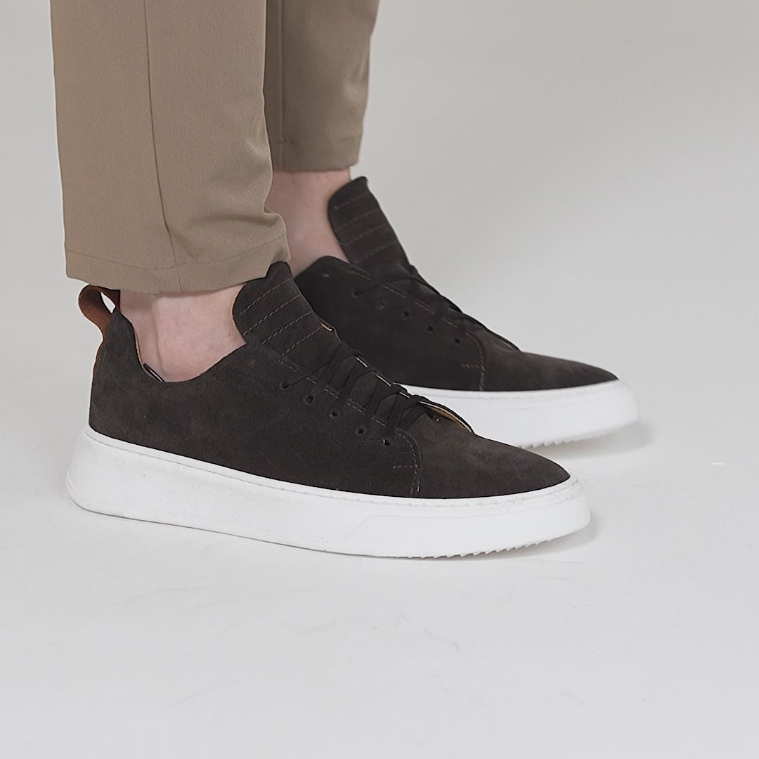 #colore_testa-di-moro